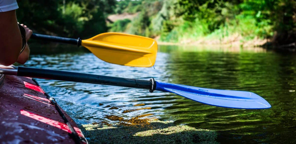 Paddling vs Rowing