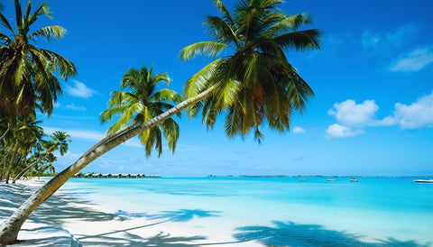 the bahamas paddle boarding